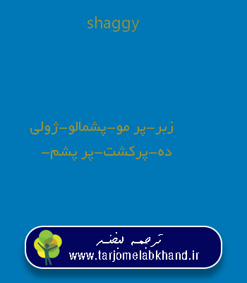 shaggy به فارسی